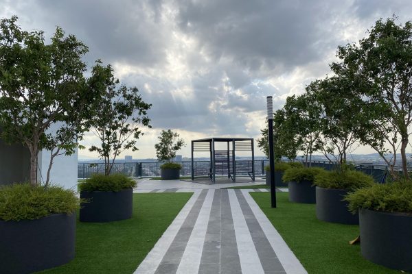 rooftop garden 2 rooftop garden 2